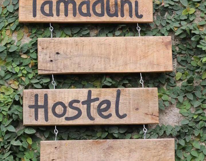 싱글 디럭스 룸, Tamaduni Hostel