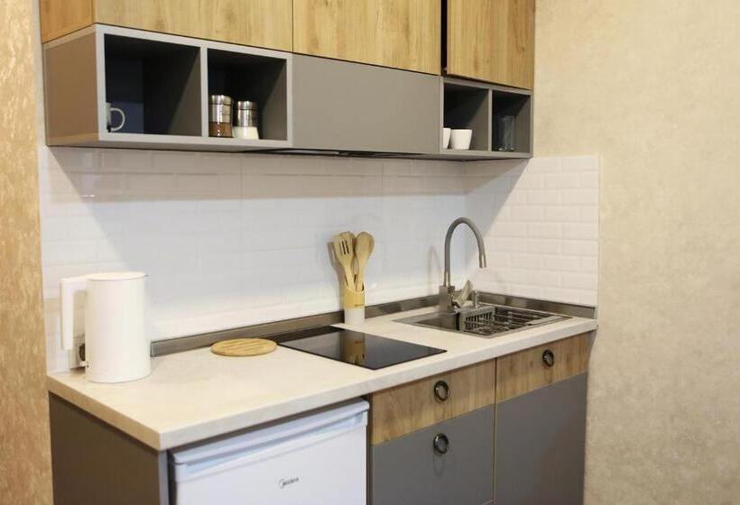 استودیو استاندارد با تخت کینگ, The Valley Residence & Spa N410