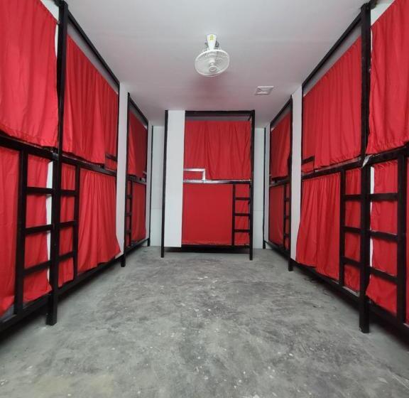 מיטה בחדר משותף, Top View Kohrong