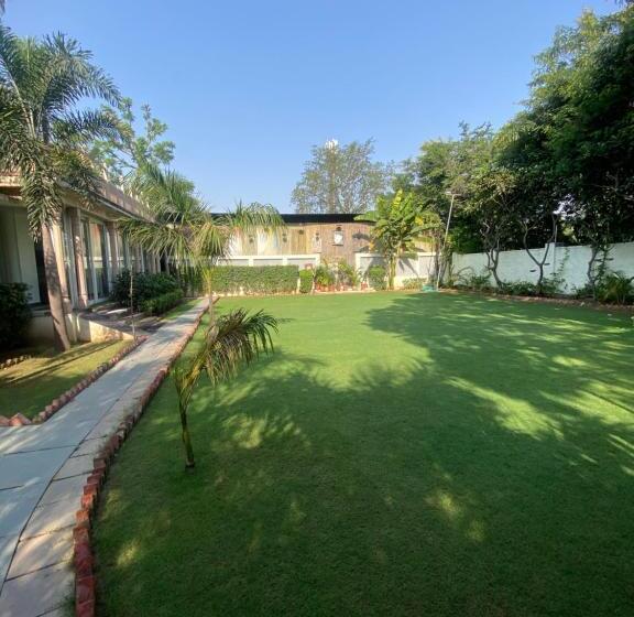 带大床的豪华间, Cedar