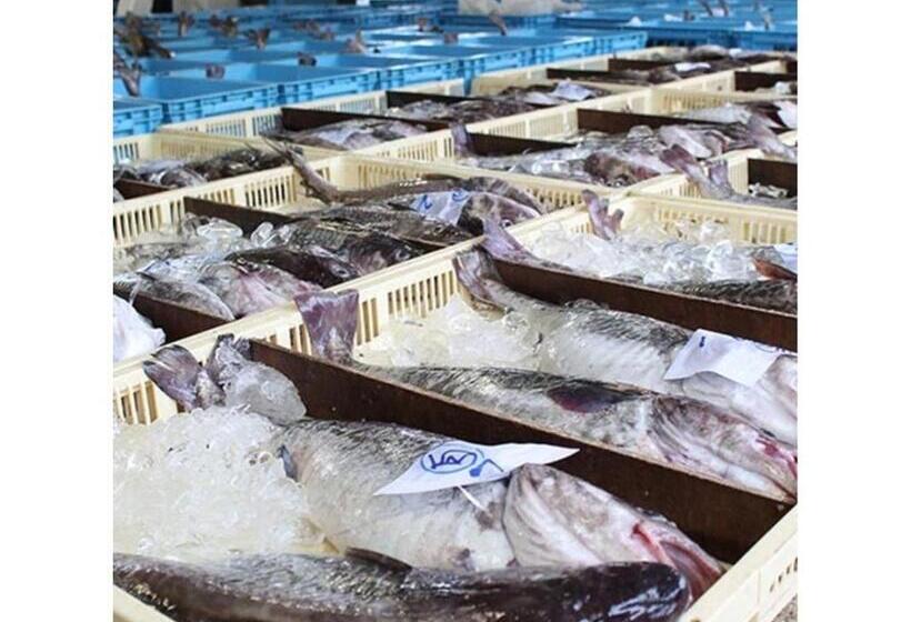 إستوديو قياسى, Noto Ushitsuso   Vacation Stay 90659v