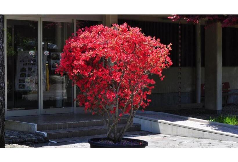 إستوديو قياسى, Noto Ushitsuso   Vacation Stay 90659v