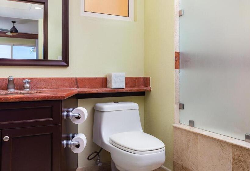 Номер Deluxe, Villa Del Palmar Flamingos