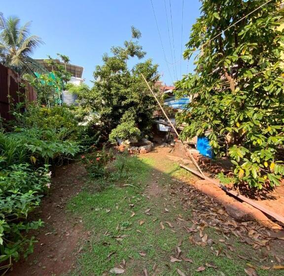 דירת חדר, Greendrem