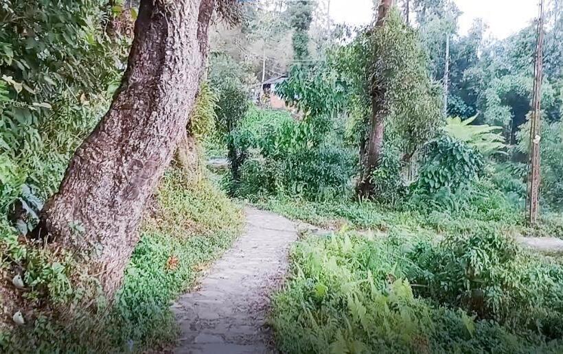 デラックスルーム, Superview Waterfall