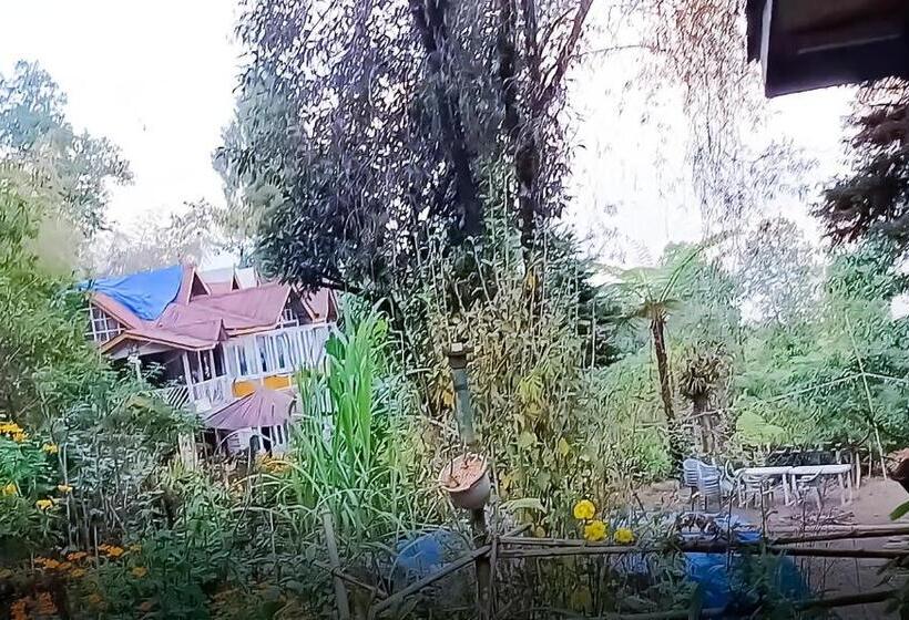 デラックスルーム, Superview Waterfall