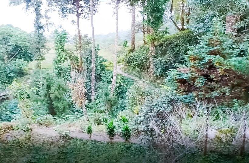 デラックスルーム, Superview Waterfall