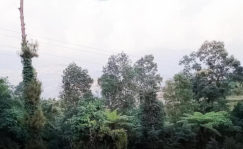 デラックスルーム, Superview Waterfall