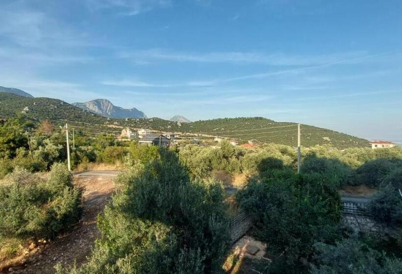 Номер Стандарт Вид на Бассейн, Seron Mountain House