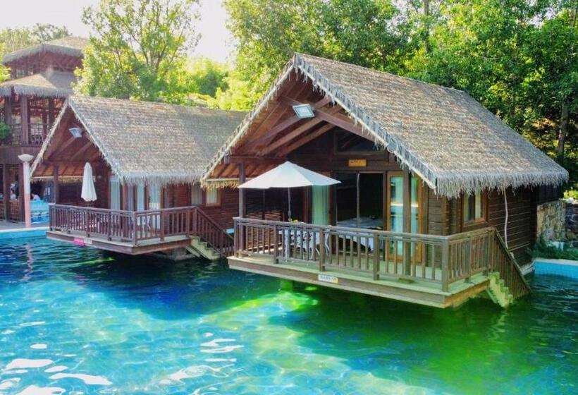 בקתת סופריור בת חדר 1, Rainbow Valley Hot Spring