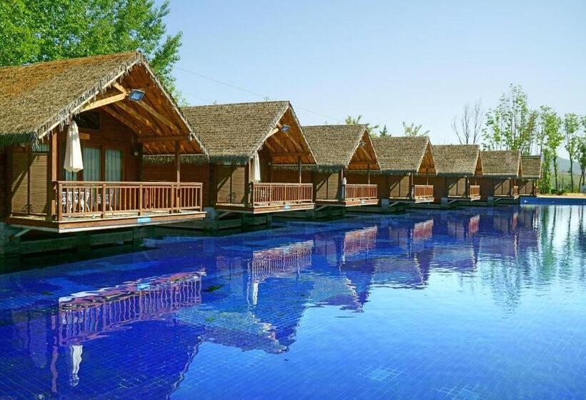 בקתת סופריור בת חדר 1, Rainbow Valley Hot Spring