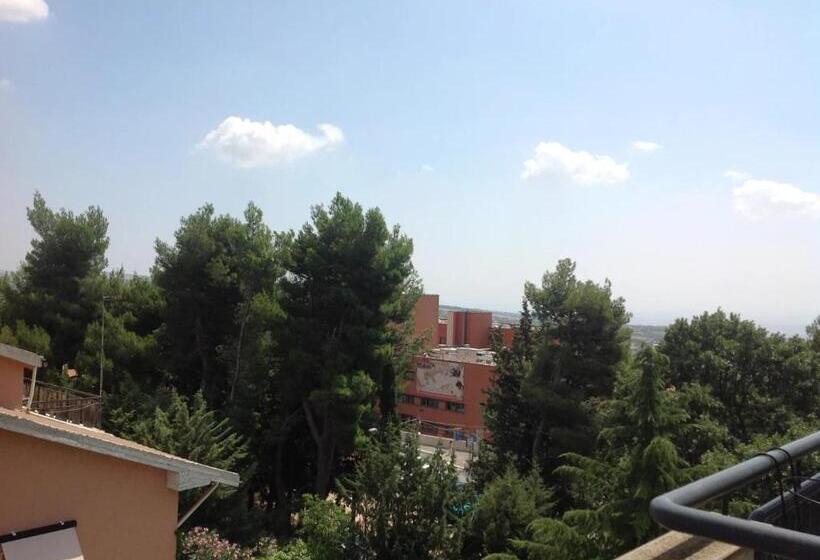 スタンダードシングルルーム, San Francesco