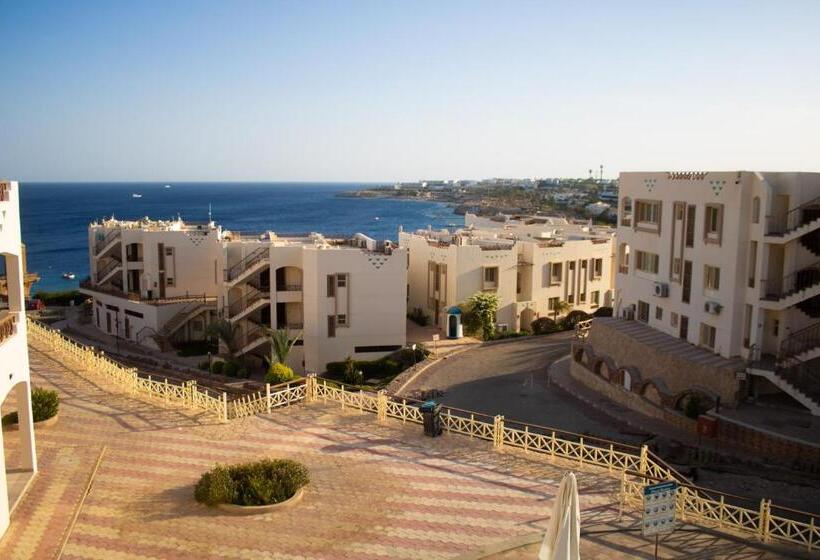 سوئیت با تخت بزرگ, Sharks Bay Oasis Soft Only & Amp Aqua Park And Diving