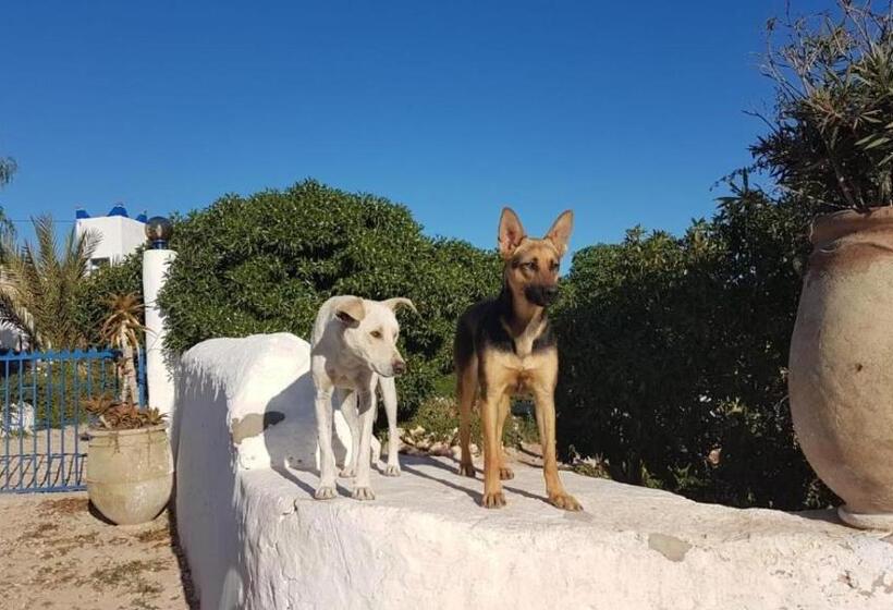 Номер Стандарт Трехместный, Room In Guest Room   Room In Villa Lair De La Mer No0969