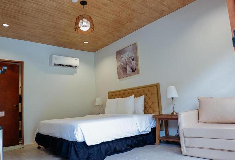 اتاق لوکس, Swissfinity Beach Resort