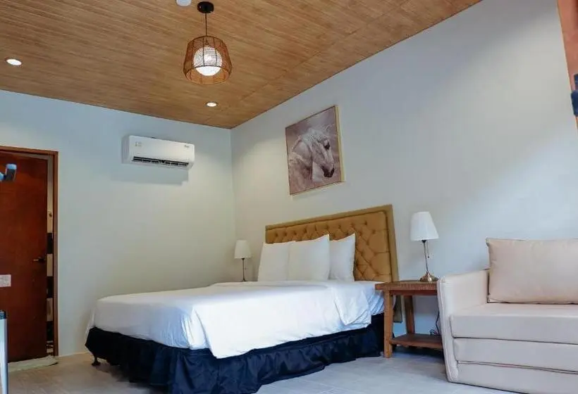 اتاق لوکس, Swissfinity Beach Resort