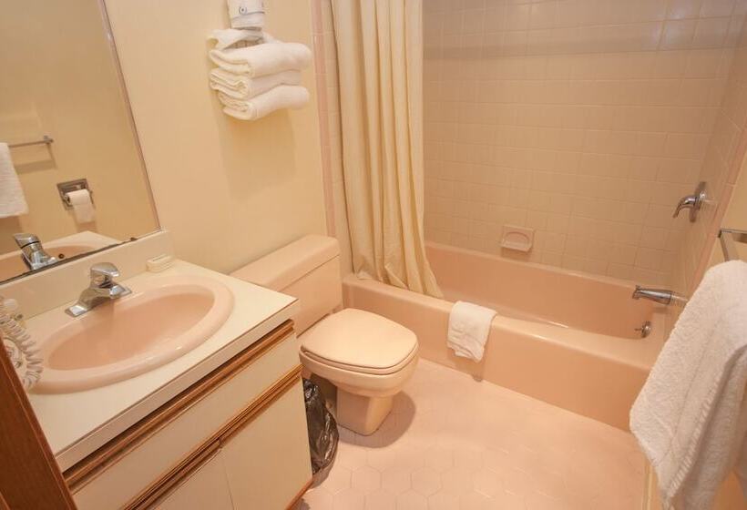 디럭스 스튜디오, Calypso Boutique