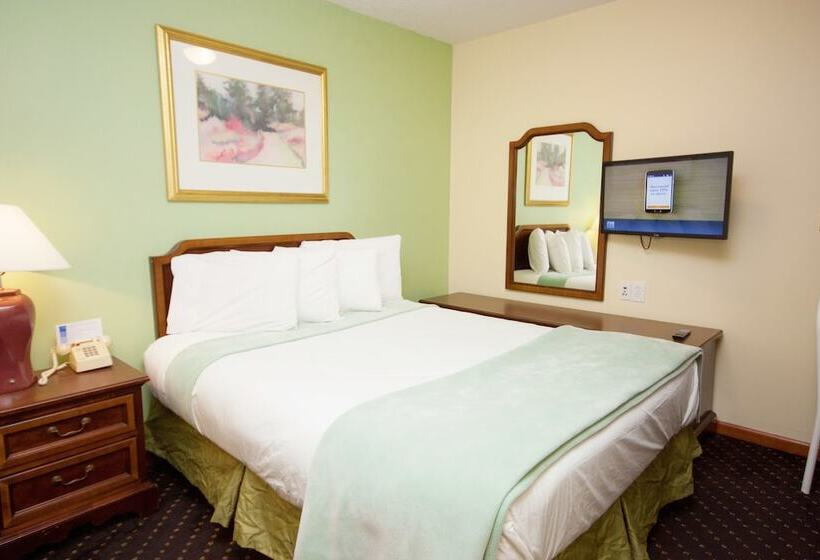 디럭스 스튜디오, Calypso Boutique