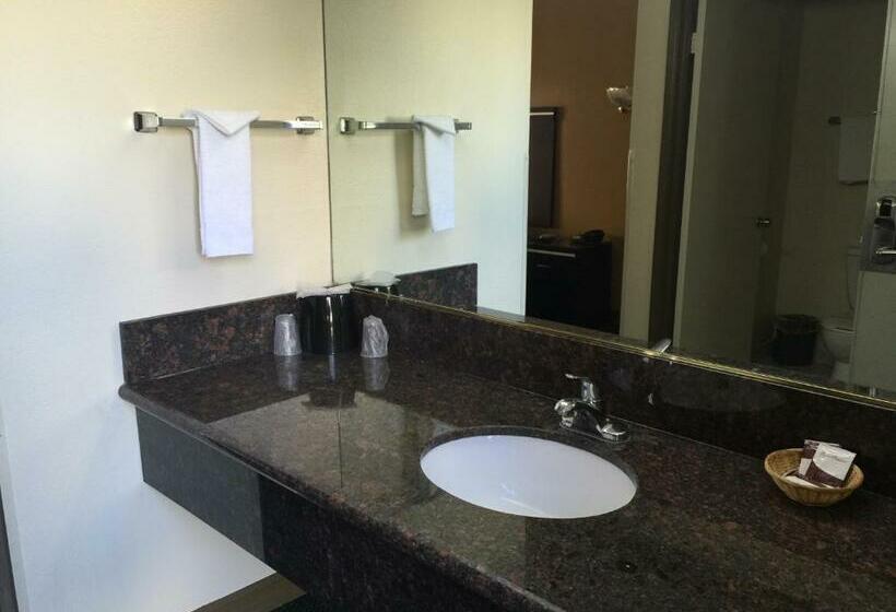 غرفة قياسية سرير كينج, Mountain Inn