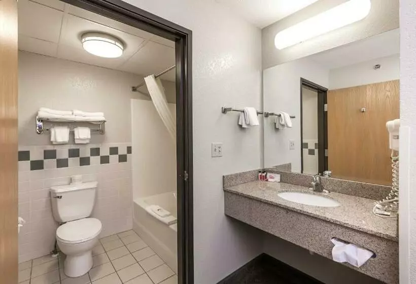 スタンダードルーム, Mountainview Lodge And Suites
