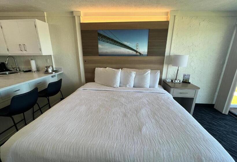 可观景的小型套房, The Beach Haus Resort