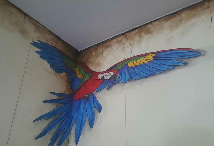 غرفة قياسية, The Pirate Haus Inn