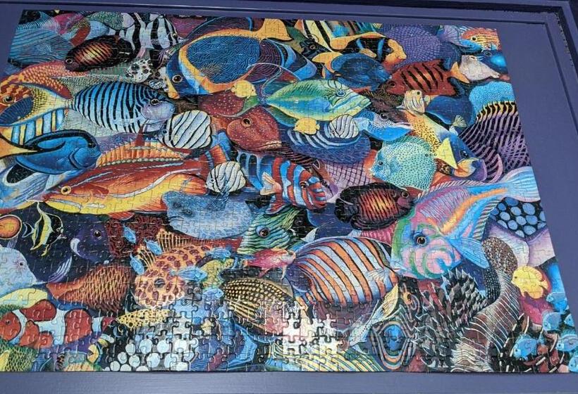 غرفة عائلية, The Pirate Haus Inn