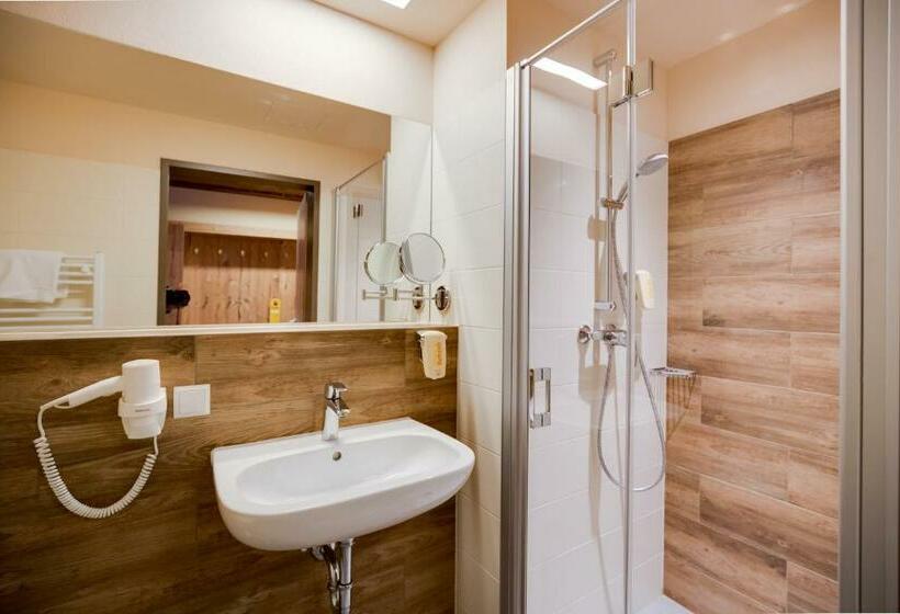 חדר סטנדרט יחיד, Jufa Hotel Annaberg