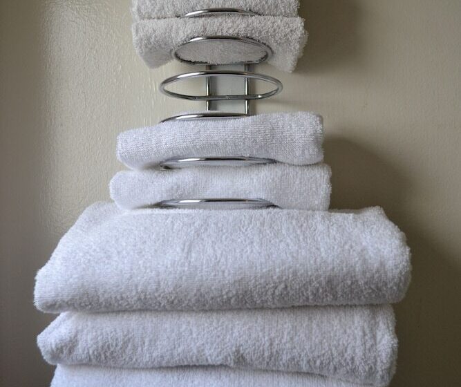 标准间带双人床, Madison Beach Motel