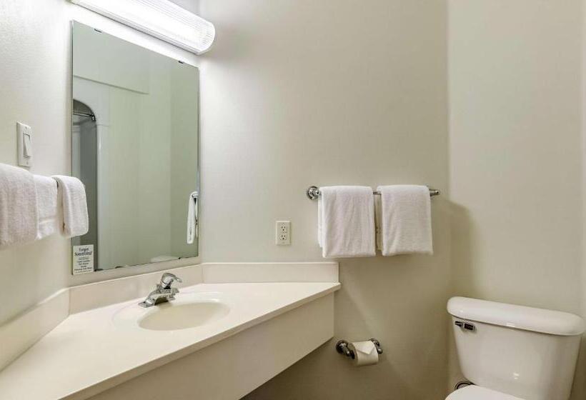 장애인을 위한 스탠다드 룸, Motel 6 Sidney, Ne