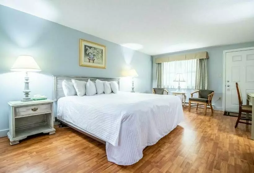 Standard-huone King-vuode, Sea View Motel