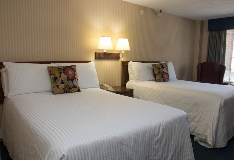 Номер Стандарт 2 Двуспальные Кровати, Sea View Motel
