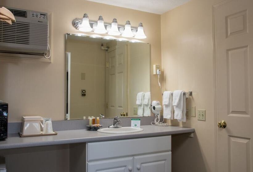 חדר סטנדרט שתי מיטות זוגיות, Sea View Motel