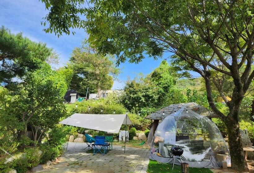 Standard Tent, K Highstel Jayeon