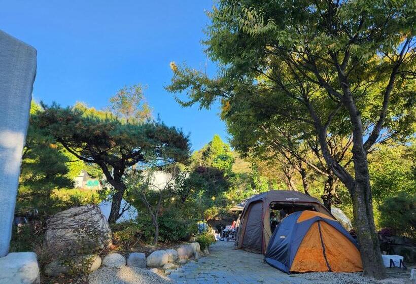 Standard Tent, K Highstel Jayeon