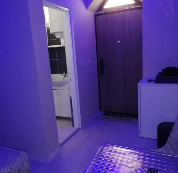 اتاق لوکس, Blue Carpet Rooms
