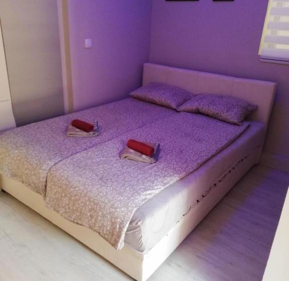 اتاق لوکس, Blue Carpet Rooms