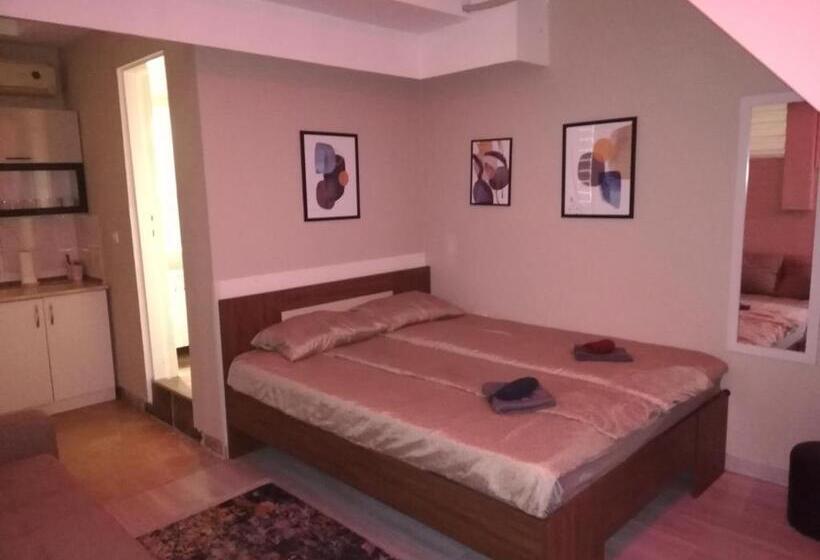 اتاق لوکس چهار تخته, Blue Carpet Rooms