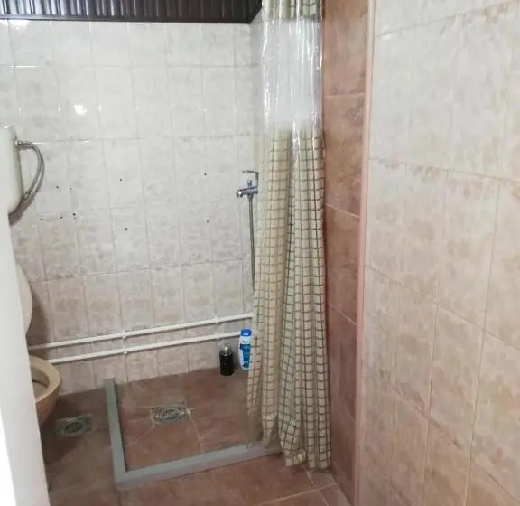 اتاق استاندارد چهار تخته, Blue Carpet Rooms