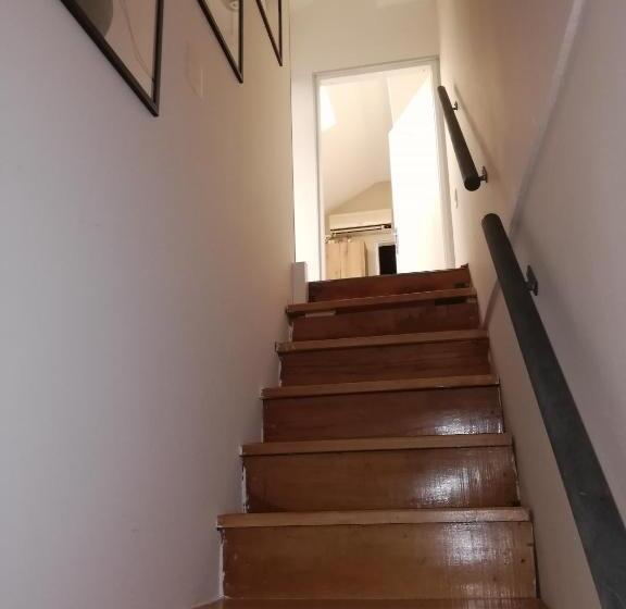 اتاق استاندارد چهار تخته, Blue Carpet Rooms