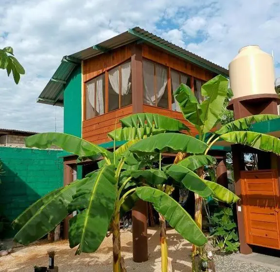 اتاق استاندارد با چشم‌انداز باغ, Oridleys Hostel16