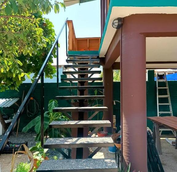 اتاق استاندارد با چشمانداز باغ, Oridleys Hostel16