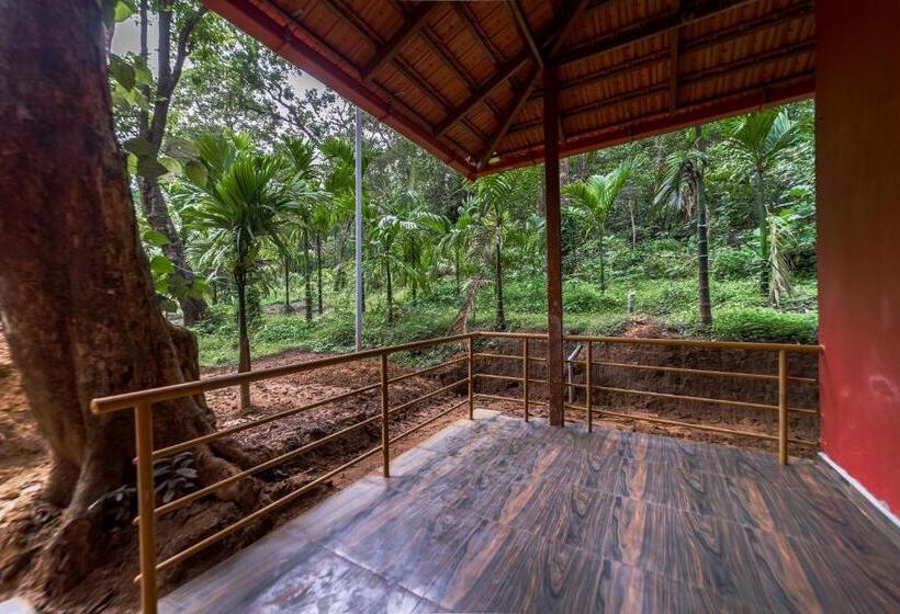 四人标准间, Uk Nature Stay
