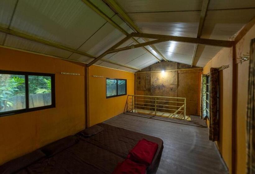 חדר משפחתי, Uk Nature Stay