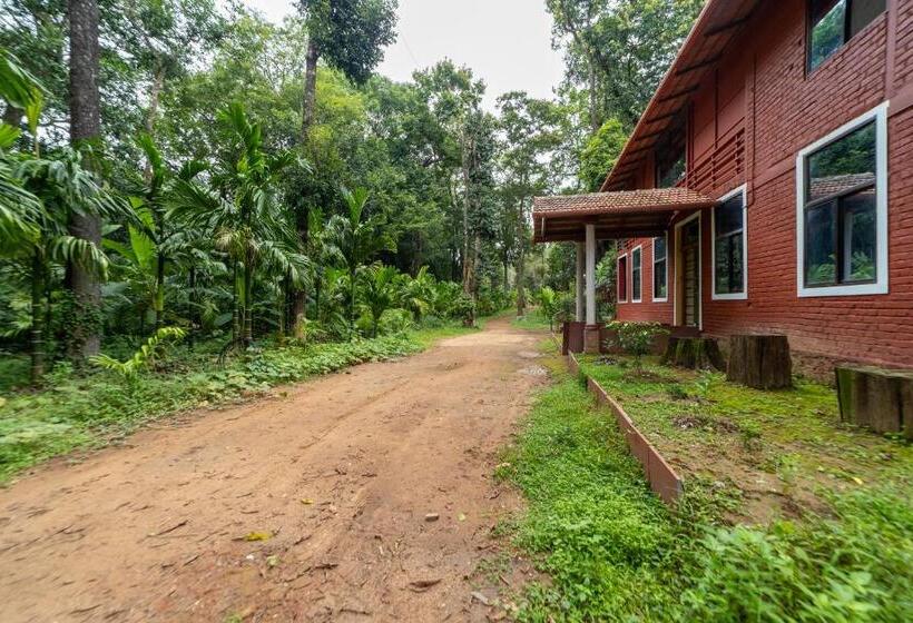 Quarto Deluxe com Sacada, Uk Nature Stay
