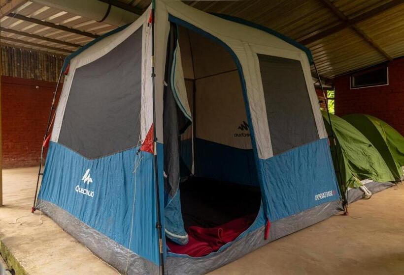 Standard Tent, Uk Nature Stay