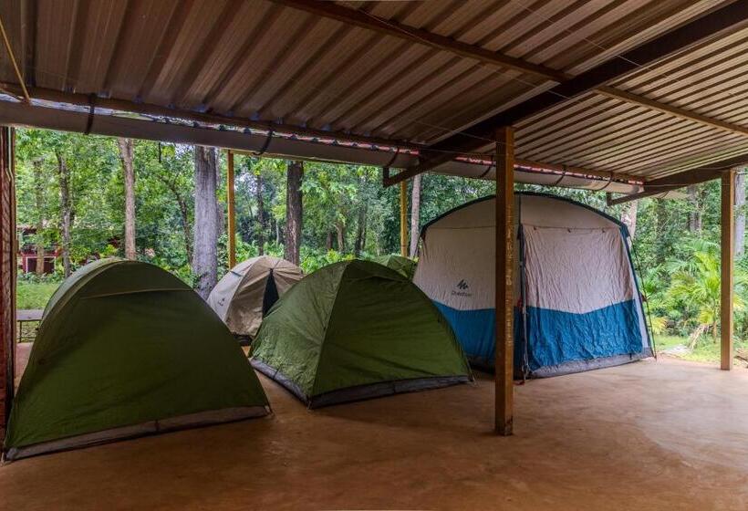 Standard Tent, Uk Nature Stay