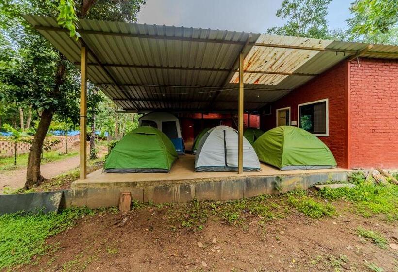 Standard Tent, Uk Nature Stay