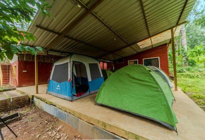 Standard Tent, Uk Nature Stay