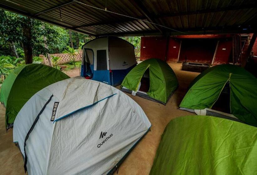 Standard Tent, Uk Nature Stay